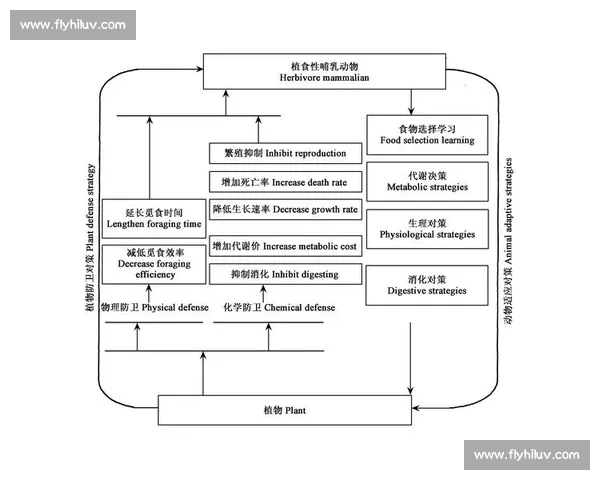 竞技体育发展视角下教练博弈策略与团队绩效协同机制研究演化路径